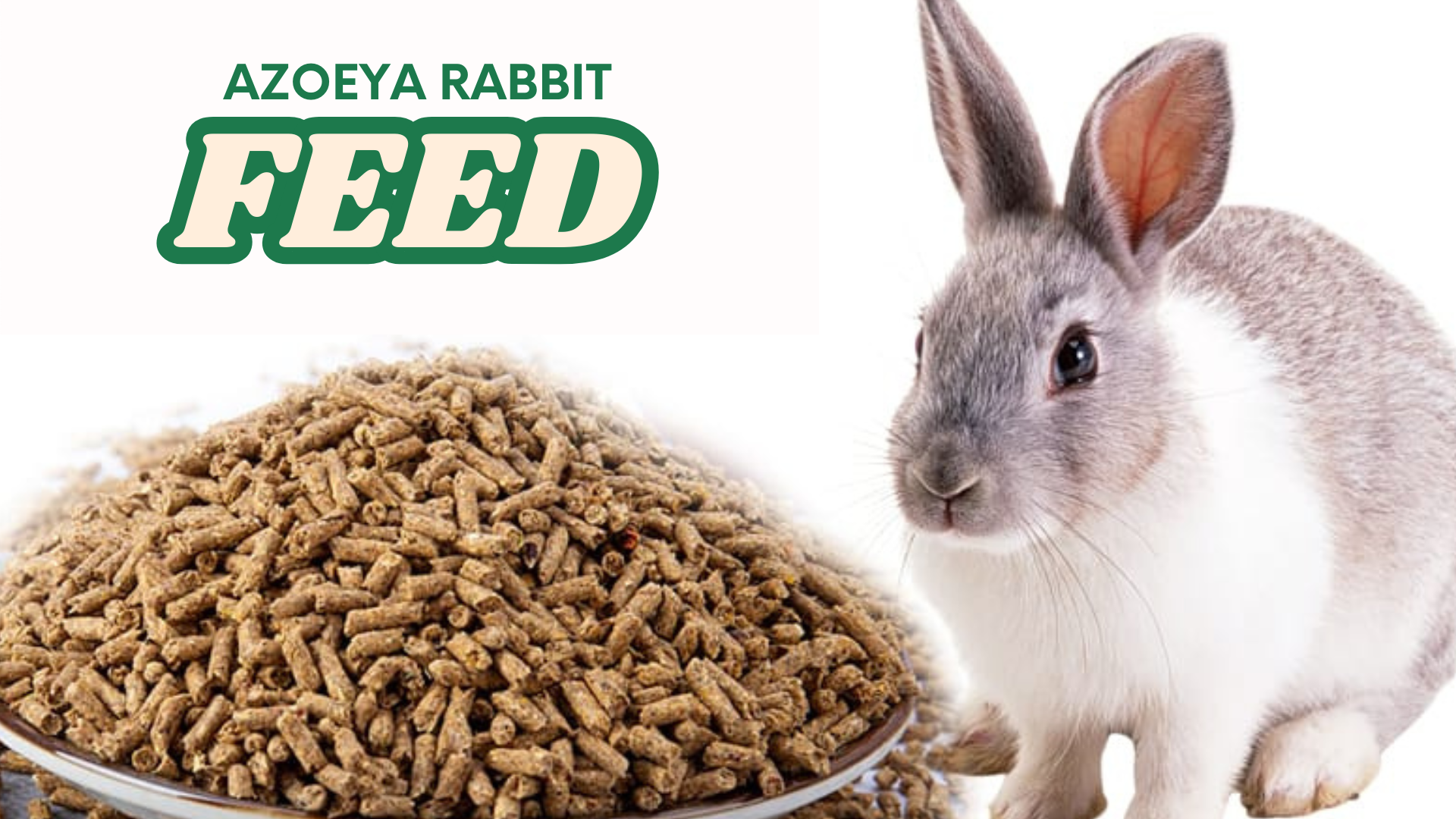 AZOEYA RABBIT FEED