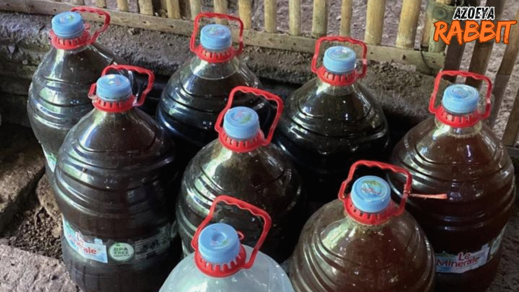 Kandungan dan pengolahan urine kelinci