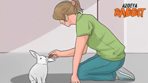 7 Tips Ampuh Melatih Kelinci agar Lebih Penurut dan Ramah dalam 30 Hari!