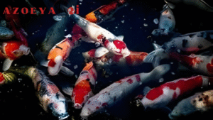 Ikan Koi dan Kepribadian Anda Bagaimana Warna Mempengaruhi Mood 3 Ikan Koi dan Kepribadian Anda Bagaimana Warna Mempengaruhi Mood