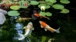 Gak Nyangka! 5 Manfaat Pelihara Koi untuk Kesehatan Mental, Bikin Adem